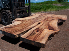 Timber slab sales