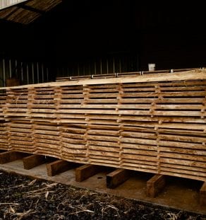 Mobile milling a timber log into slabs on site