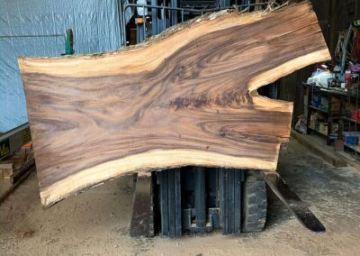 Raintree timber slab