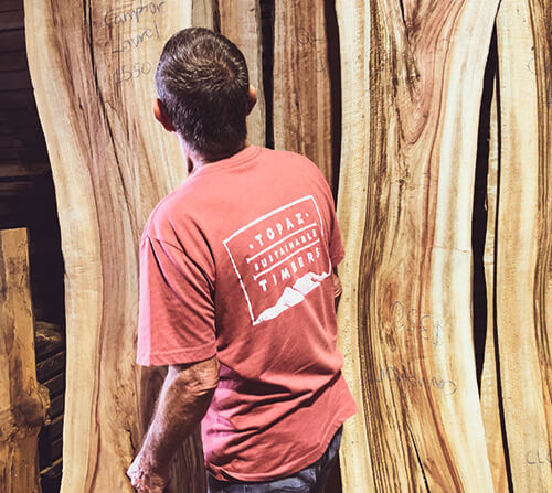 Man browsing camphor laurel timber slabs
